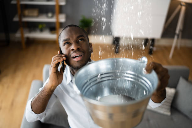 Best Local water damage restoration  in Garden City Park, NY