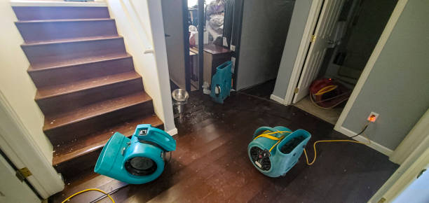 Best Carpet water damage restoration  in Garden City Park, NY