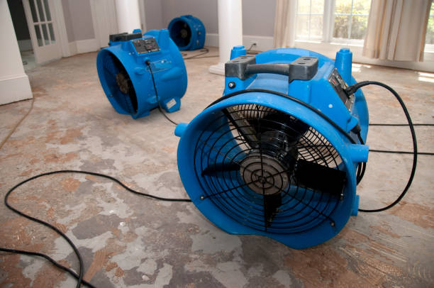 Best Carpet water damage restoration  in Garden City Park, NY