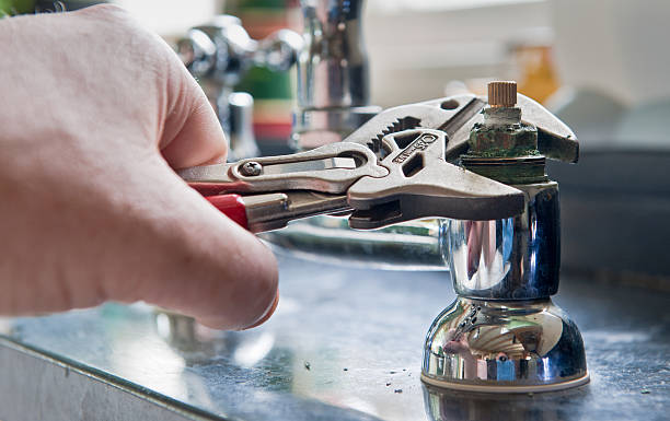 Best Professional water damage repair  in Garden City Park, NY